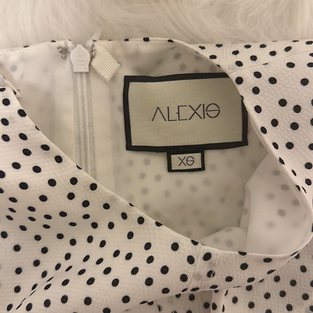 Alexis Mini Dress - Picture 3 of 5
